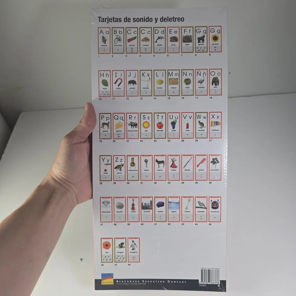 Benchmark Education Company Spanish Language Learning Flashcards  Vowel Sounds